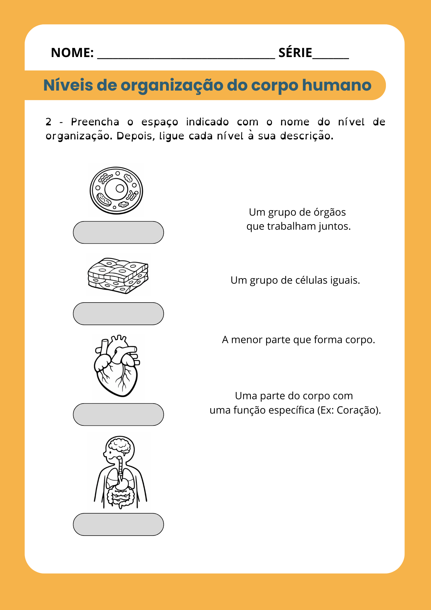 Vida e evolução 6 ano (1)