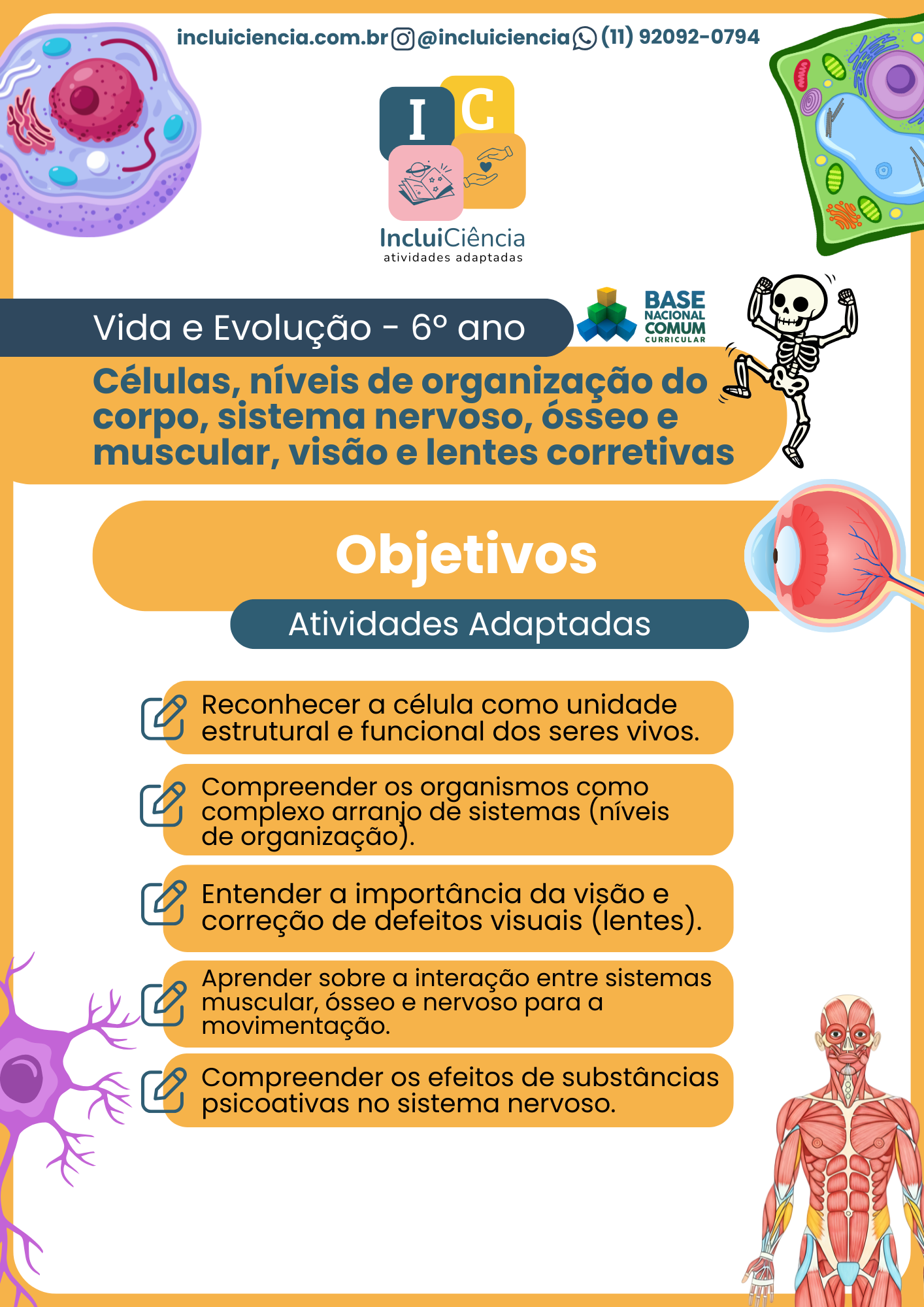 Vida e evolução 6 ano